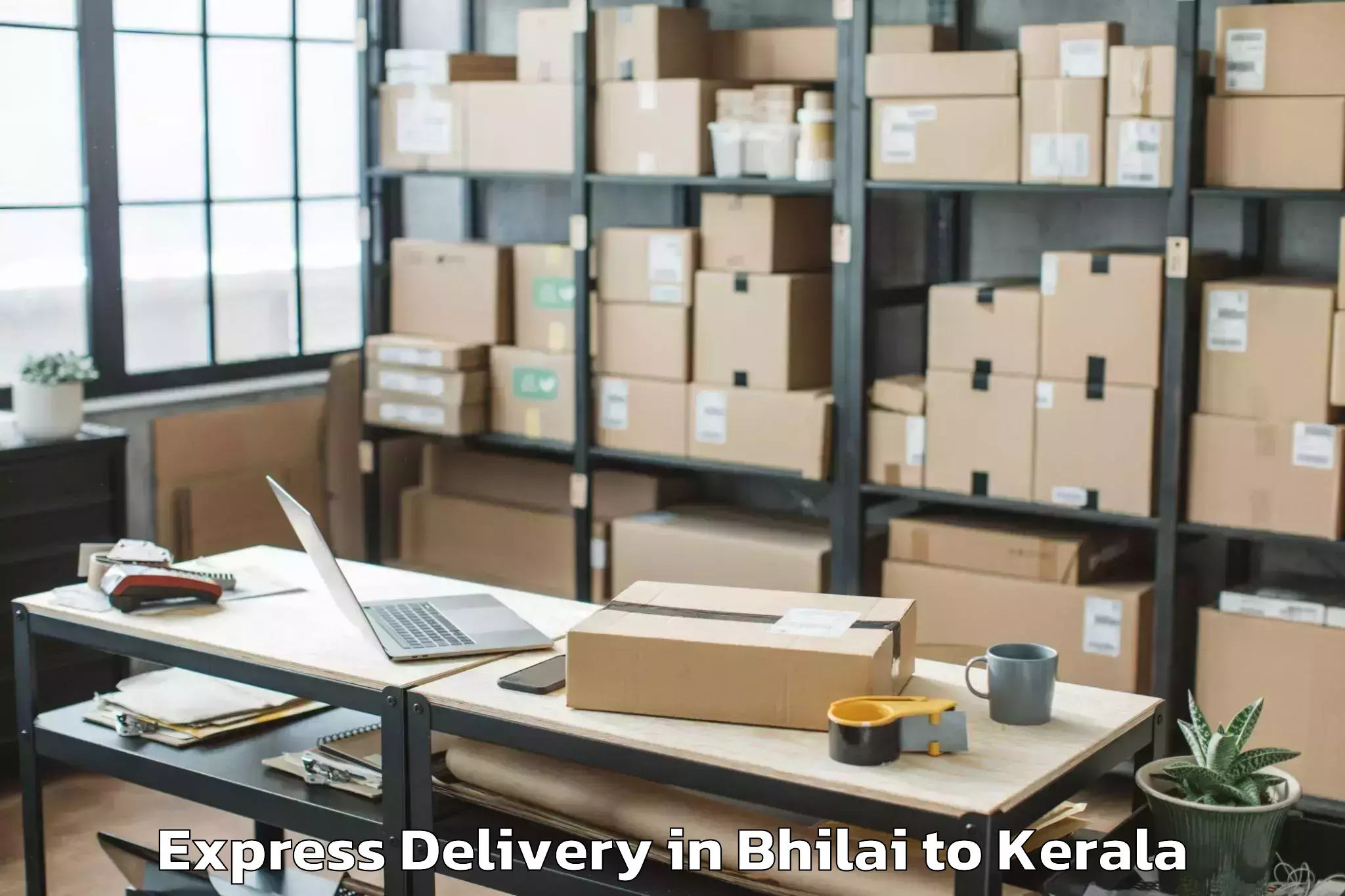 Reliable Bhilai to Shoranur Express Delivery